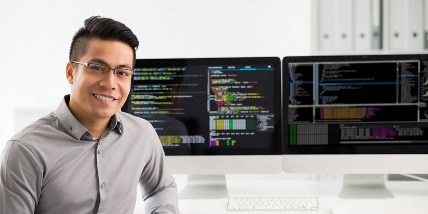 IT Professionals and the Matrixed Organization IT Professionals and the Matrixed Organization