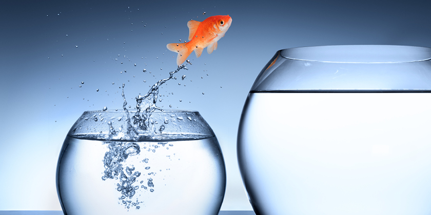 The Experience Game and Why it Matters in IT The Experience Game and Why it Matters in IT